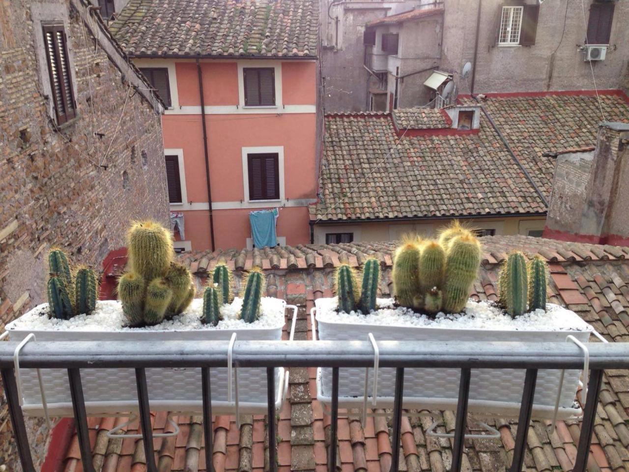 Bbhomerome - Campo Dei Fiori Balcony View Penthouse Extérieur photo